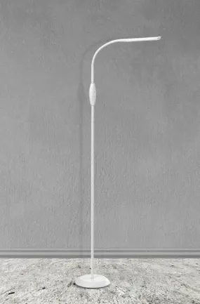 Brixton Flexible LED Floor Lamp