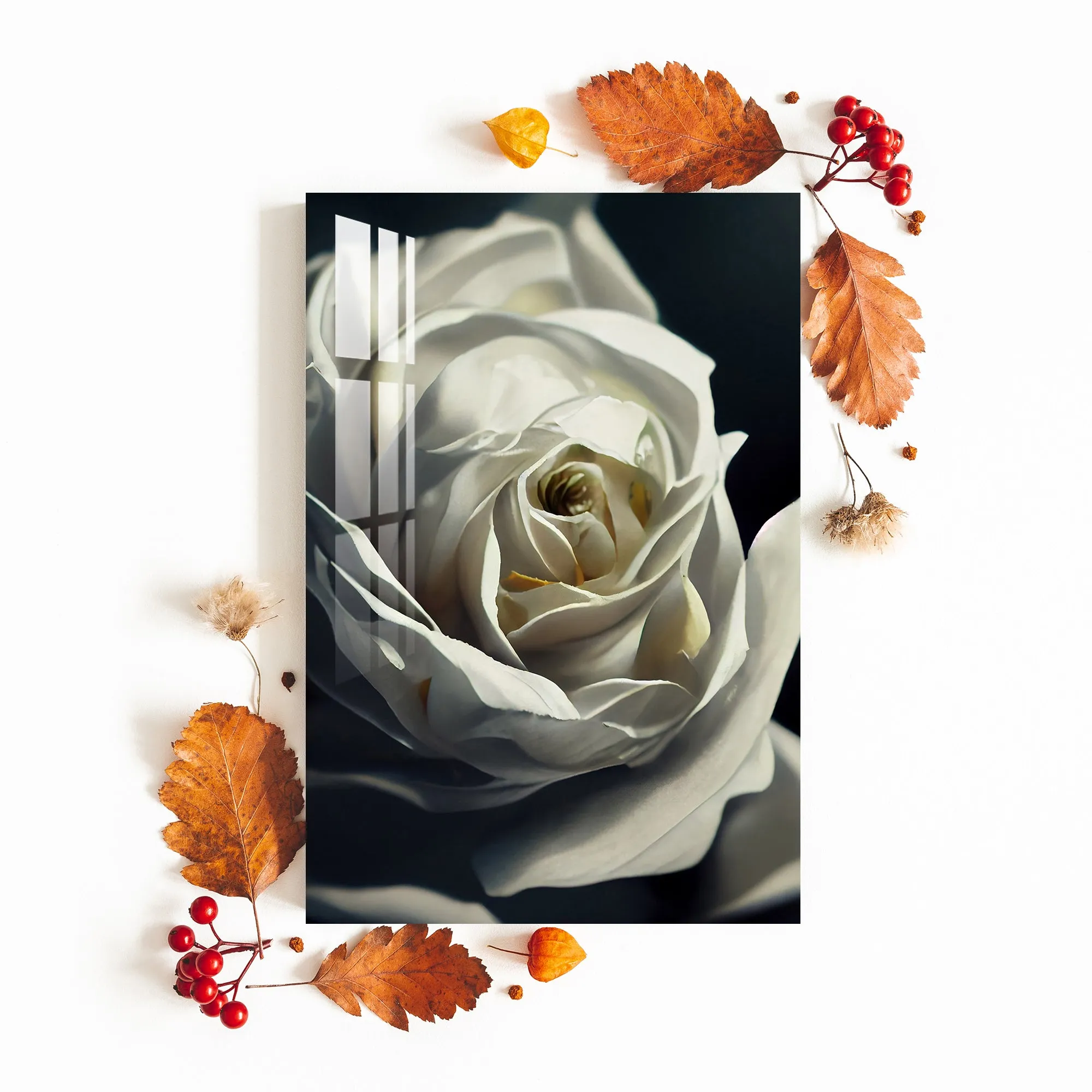 Dandelion Feather Rose Acrylic Wall Art