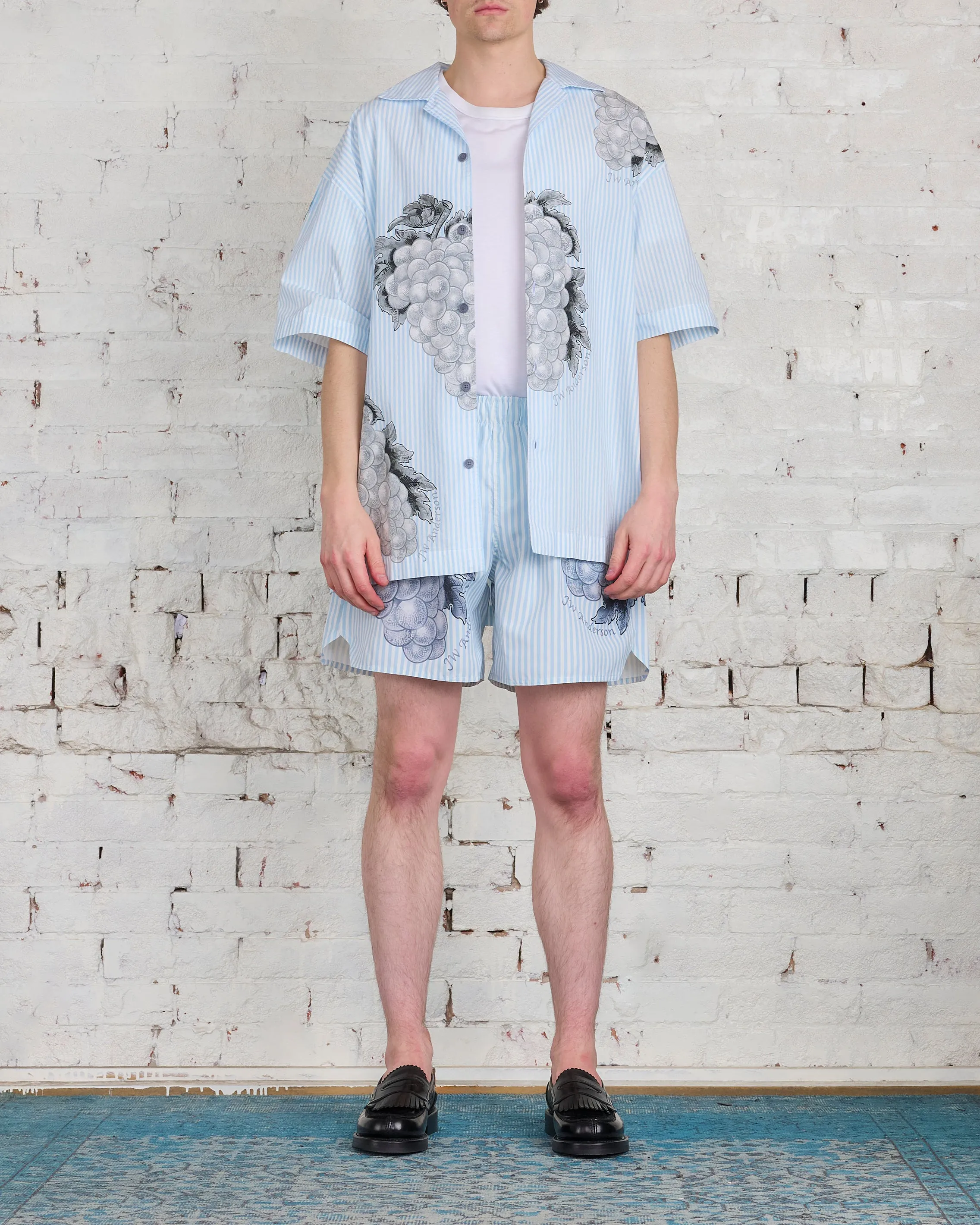 JW Anderson Grape Swim Short Light Blue