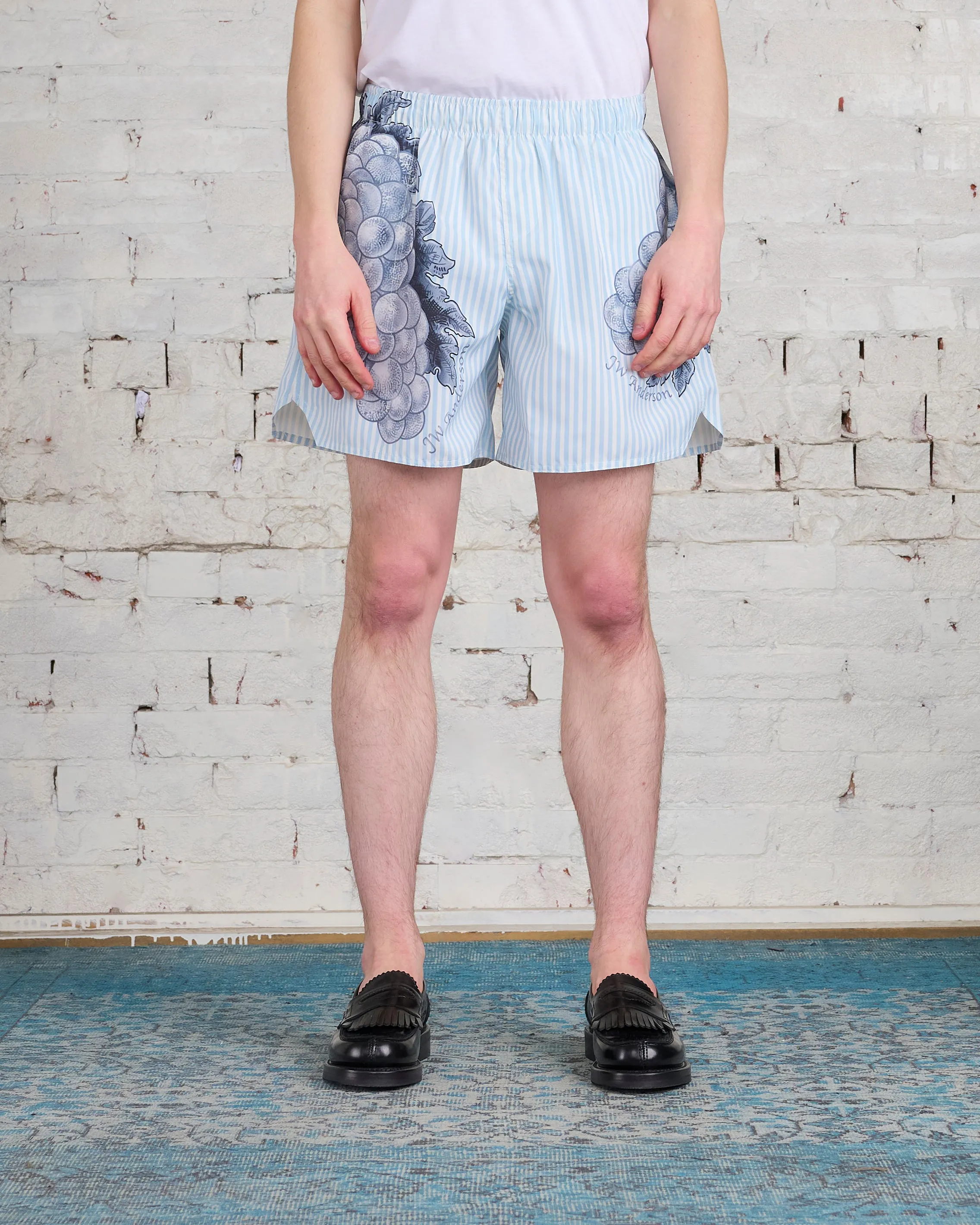 JW Anderson Grape Swim Short Light Blue