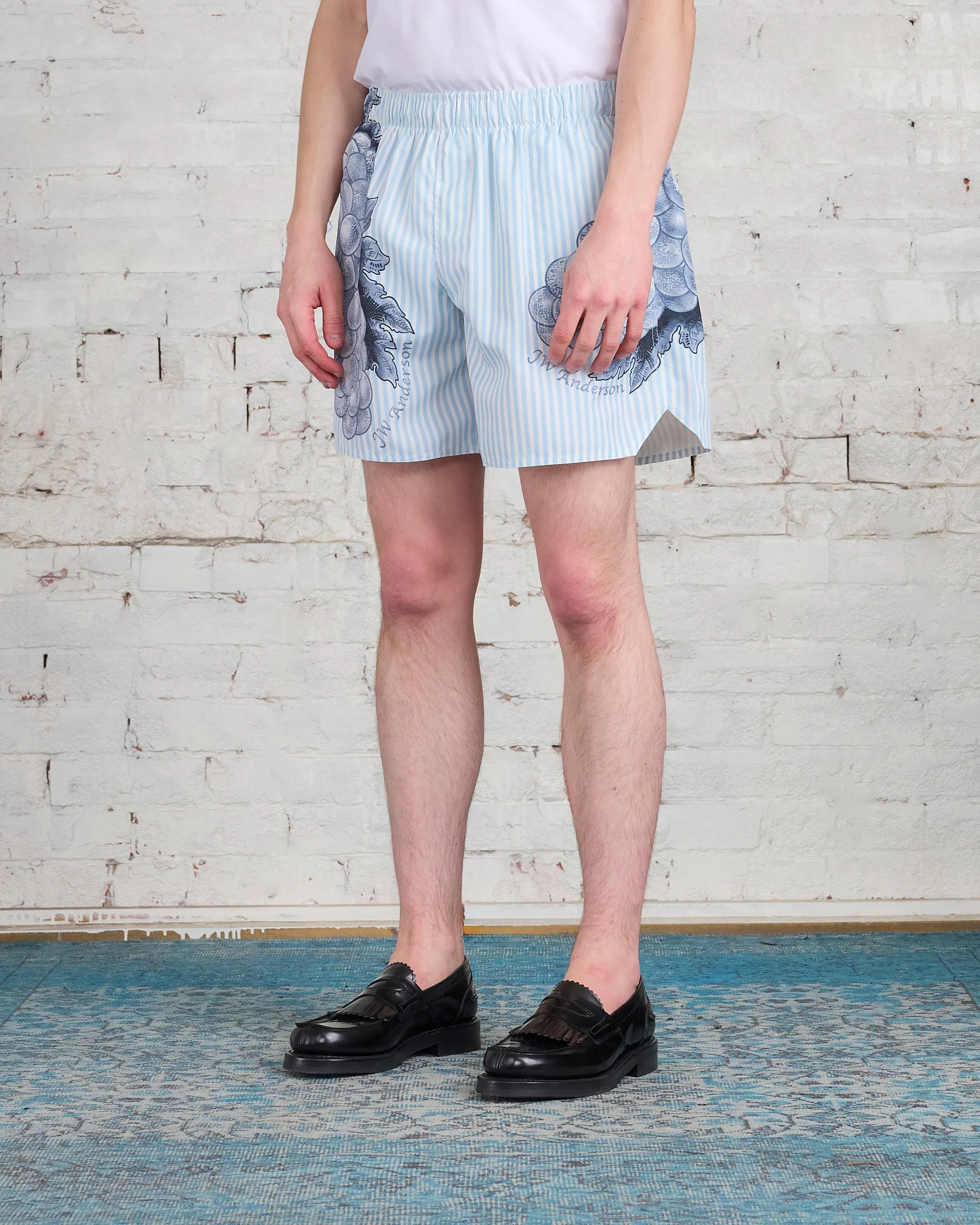 JW Anderson Grape Swim Short Light Blue
