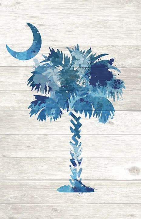 South Carolina Flag Splatter Silhouette